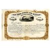 Image 1 : NY. New York, Albany and Buffalo Railroad Co., 1879, Unique Approval Proof Stock Certificate