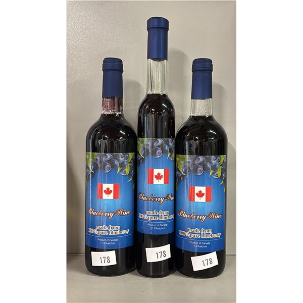 3 BOTTLES OF BLUEBERRY WINE - SEALED BOTTLES