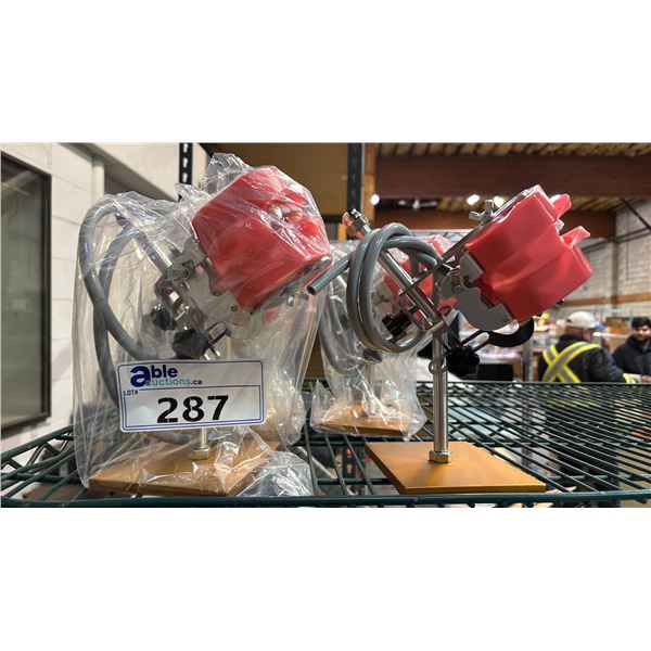 5 DENTAL TEACHING TEETH MANNIKINS