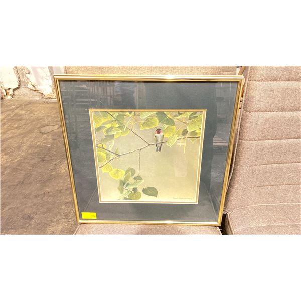 ROBERT BATEMAN "MALE RUBY THROATED HUMMINGBIRD" PRINT - APPROX. 14 1/4" X 14" FRAMED