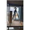 Image 1 : PAIR OF TRIPODS