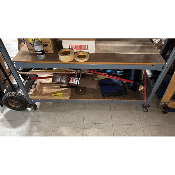 SHELF OF BROOMS, MOP HEAD, CARPET SWEEPER & MORE