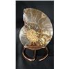 Image 1 : 4" AMMONITE FOSSIL