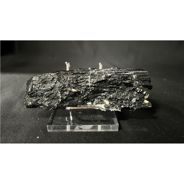 4.9" BLACK TOURMALINE