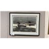 Image 1 : JOHN SEEREY-LESTER "SUDDEN RAIN - COMMON LOONS" SIGNED 38" X 28" FRAMED PRINT - 2505/4500