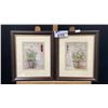 Image 1 : PAIR OF KATHRYN WHITE 15.25" X 12.75" FRAMED FLORAL PRINTS - ARTIST INFO ON BACK