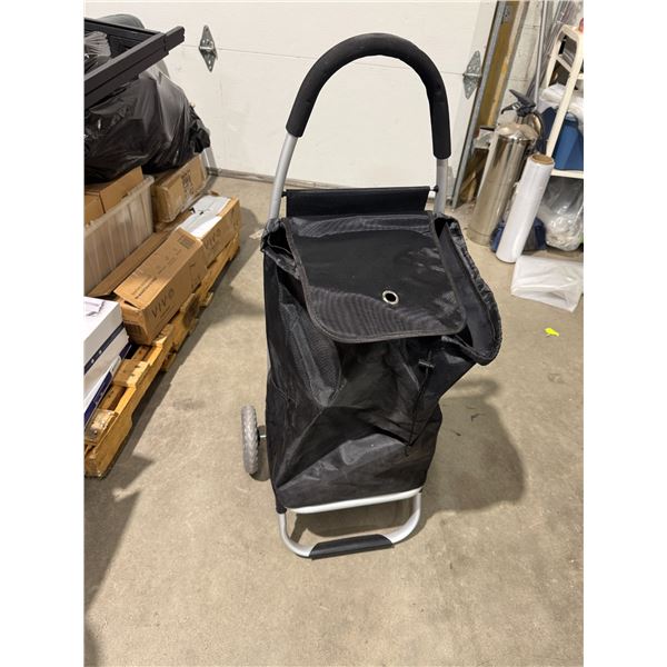 Rolling cart bag