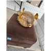 Image 1 : Blow fish