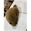 Image 1 : Beaver
