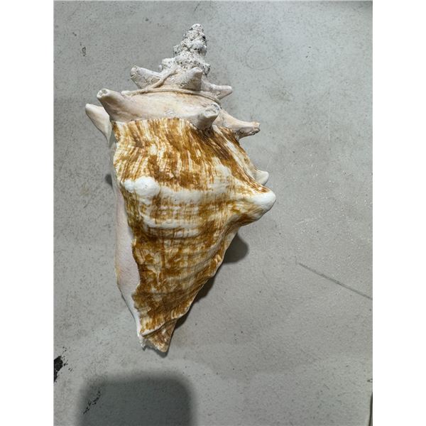 Shell