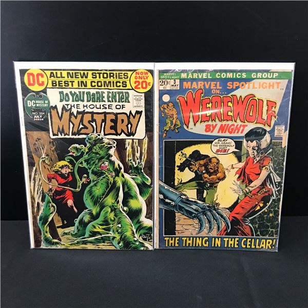 LOT OF 2 MYSTERY / HORROR COMICS - VARIOUS PUBLISHERS
