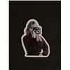 Image 1 : Taylor Swift Sticker
