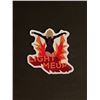 Image 1 : Taylor Swift Sticker