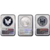 Image 2 : [3 Coins]2006 Silver Eagle NGC MS/PF69 20th Anniv.