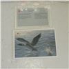 Image 3 : 1988 Uncirculated Canada Coin Set