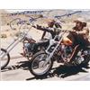 Image 1 : Easy Rider