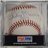 Image 4 : Baseball: 500 Home Run Club