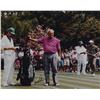 Image 1 : Arnold Palmer