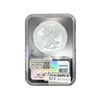 Image 2 : 2025-P Silver Eagle NGC MS70