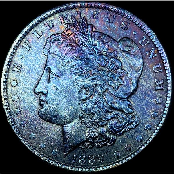 1889 Toned Silver Morgan Dollar SUPERB GEM BU