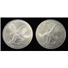 Image 2 : (2) 2021(W) AMERICAN SILVER EAGLES