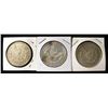 Image 2 : 1921-P, D, S MORGAN DOLLARS