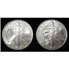 Image 1 : 2005, 06 AMERICAN SILVER EAGLES