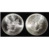 Image 2 : 2019,20 AMERICAN SILVER EAGLES