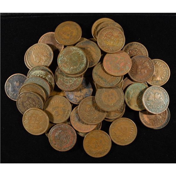 (50) INDIAN HEAD CENT