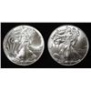 Image 1 : 2019,20 AMERICAN SILVER EAGLES