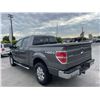 Image 4 : FORD  F-150 2014 O/S-T REPO -SMOG 2DAYS