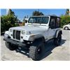 Image 1 : JEEP  WRANGLER 1993 T-2 DAYS
