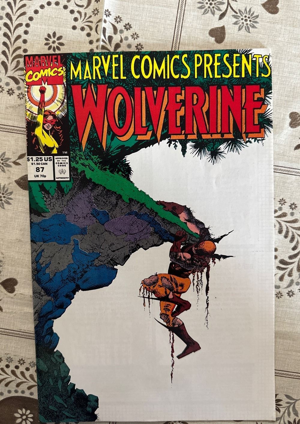 Sam Keith Wolverine Ghost Rider Marvel Comics Presents #87 (1991) Wolverine Cover Art by Sam Kieth