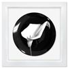 Image 1 : Calla Lily (1987) by Robert Mapplethorpe (1946-1989)