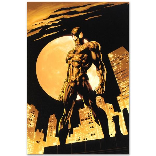 Amazing Spider-Man #528 by Marvel Comics,
