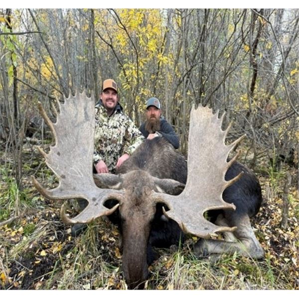 MOOSE RUT HUNT WITH BONUS WOLF HUNT