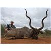 Image 1 : KUVHIMA SAFARIS IS OFFERING YOU THIS SAFARI IN LIMPOPO PROVIDENCE OF SOUTH AFRICA FOR TWO HUNTERS