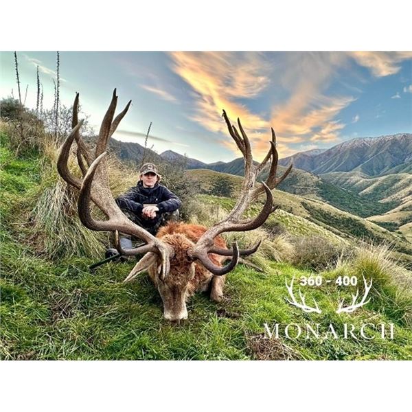 RED STAG UP TO 400 MONARCH NEW ZEALAND HOME OF WORLD RECORD RED STAGS