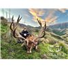 Image 1 : RED STAG UP TO 400 MONARCH NEW ZEALAND HOME OF WORLD RECORD RED STAGS