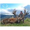 Image 2 : RED STAG UP TO 400 MONARCH NEW ZEALAND HOME OF WORLD RECORD RED STAGS
