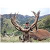 Image 3 : RED STAG UP TO 400 MONARCH NEW ZEALAND HOME OF WORLD RECORD RED STAGS