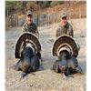Image 3 : GOULDS TURKEY HUNT HERMOSIIO SONORA WITH AMIGOS OUTFITTERS
