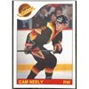 Image 1 : 1985-86 O-PEE-CHEE CAM NEELY (HOF)