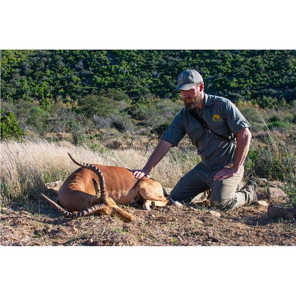 6-Days/7-Nights South African 1 Kudu, 1 Springbuck, and 2 Impala Hunt for 2 Hunters