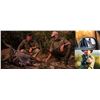 Image 6 : 6-Days/7-Nights South African 1 Kudu, 1 Springbuck, and 2 Impala Hunt for 2 Hunters