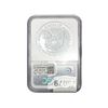 Image 2 : 2007 Silver Eagle NGC MS69