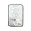 Image 2 : 2001 Silver Eagle NGC MS69
