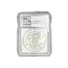 Image 1 : 2009 Silver Eagle ICG