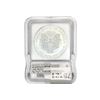 Image 2 : 2009 Silver Eagle ICG