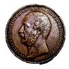 Image 1 : 1862 Commemerative R.H. Prince Consort Albert AU